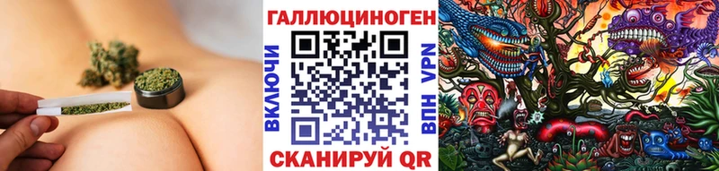 Купить  Кемь  Псилоцибиновые грибы прущие грибы 