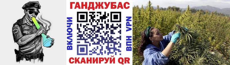 Купить где  Кемь  Канабис индика 
